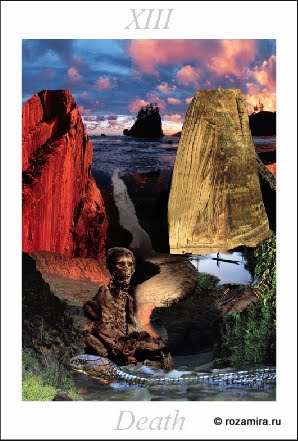 Nature Tarot by Jan Strube